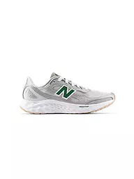 NEW BALANCE | Zapatillas de hombre Fresh Foam ARISHI v4 | Gris claro