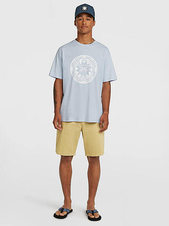 O'NEILL | Camiseta de playa para hombre Musthave Graphic