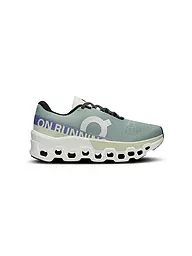 ON | Damen Laufschuhe Cloudmonster 2 | Gris