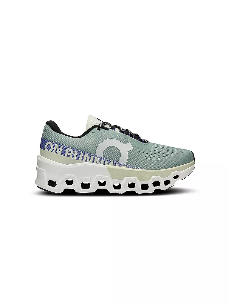 ON | Damen Laufschuhe Cloudmonster 2 | Gris