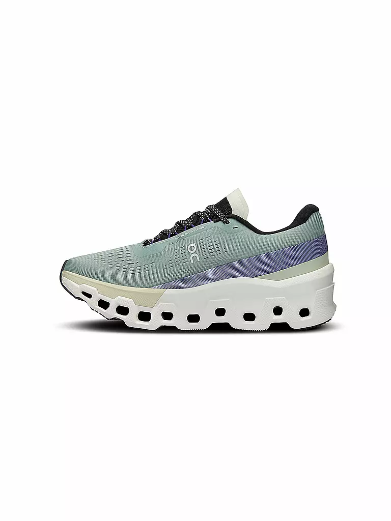 ON | Damen Laufschuhe Cloudmonster 2 | Gris