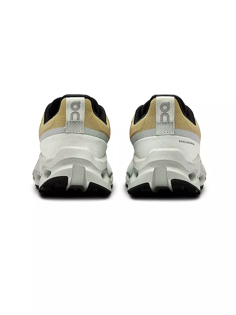 ON | Damen Traillaufschuhe Cloudsurfer Trail WP | Marrón