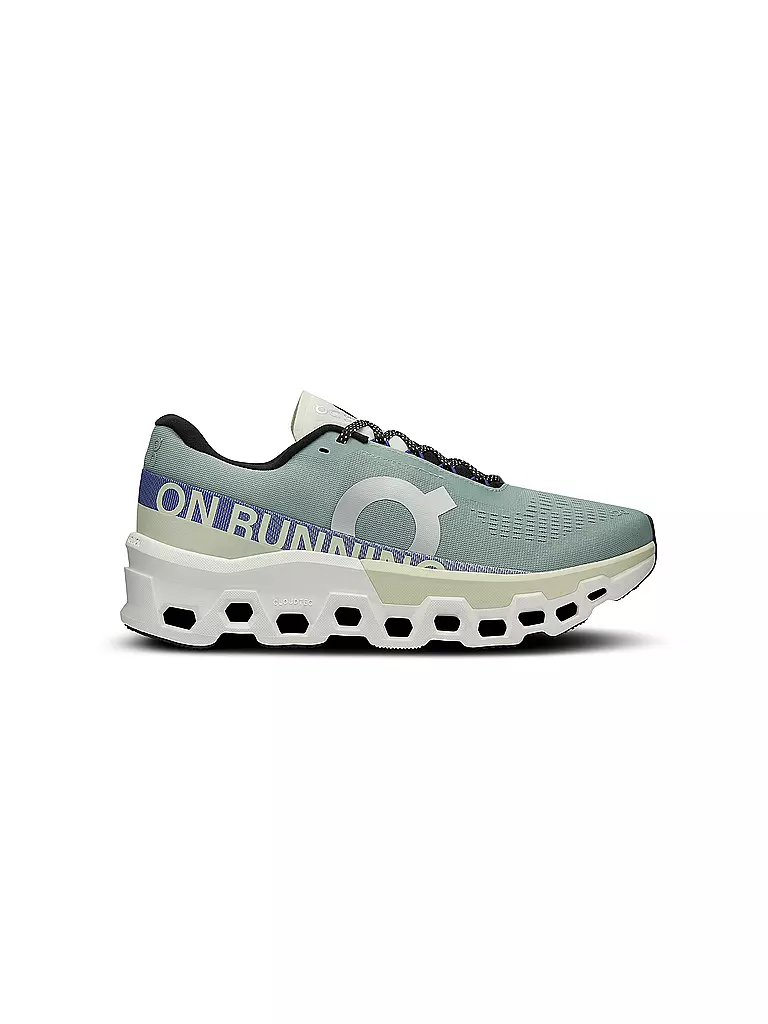 ON | Herren Laufschuhe Cloudmonster 2 | Gris