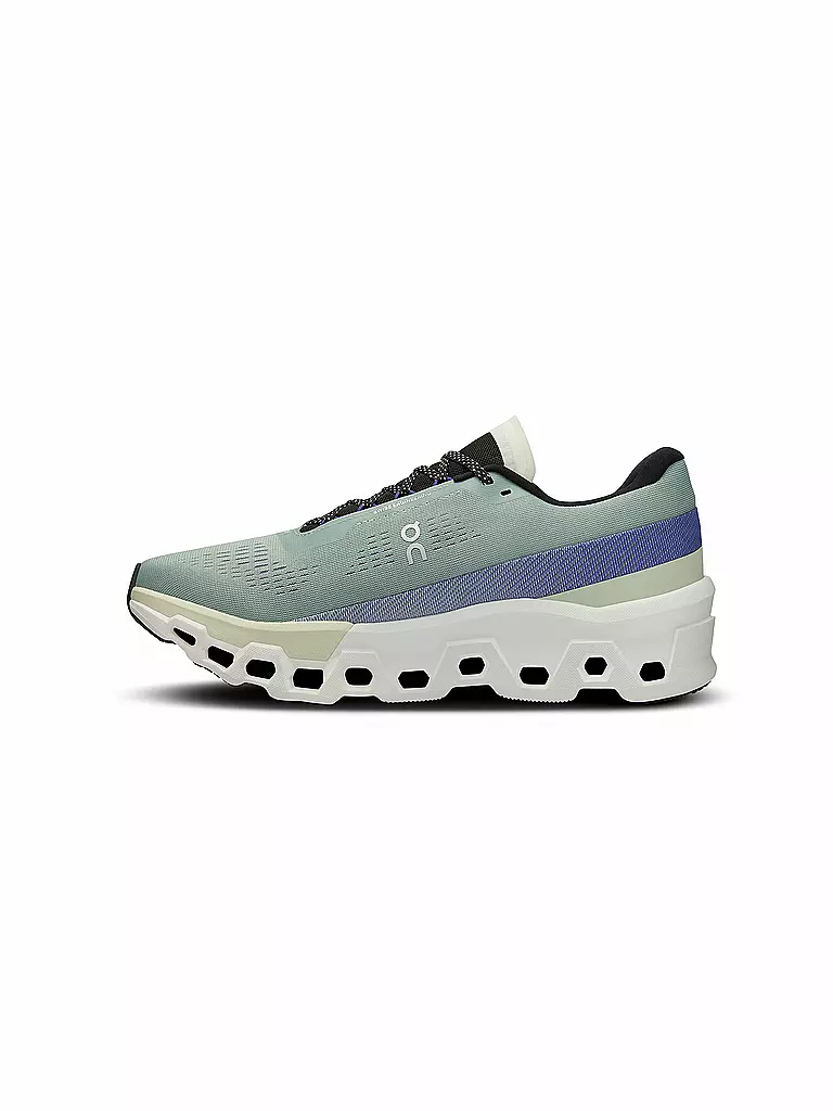 ON | Herren Laufschuhe Cloudmonster 2 | Gris