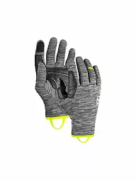 ORTOVOX | Guantes de forro polar Fleece Light para hombre | Gris