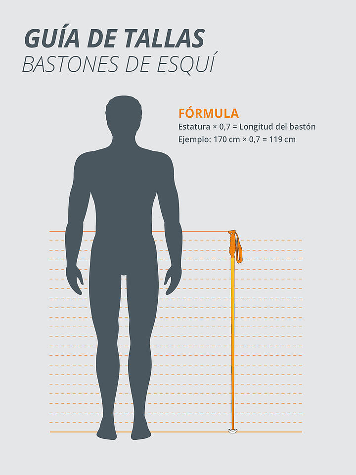 VAN DEER RED BULL SPORTS | Bastones de esquí Race Carbon | 