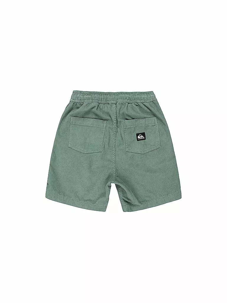 QUIKSILVER | Bermuda de playa Taxer para niño | Verde claro