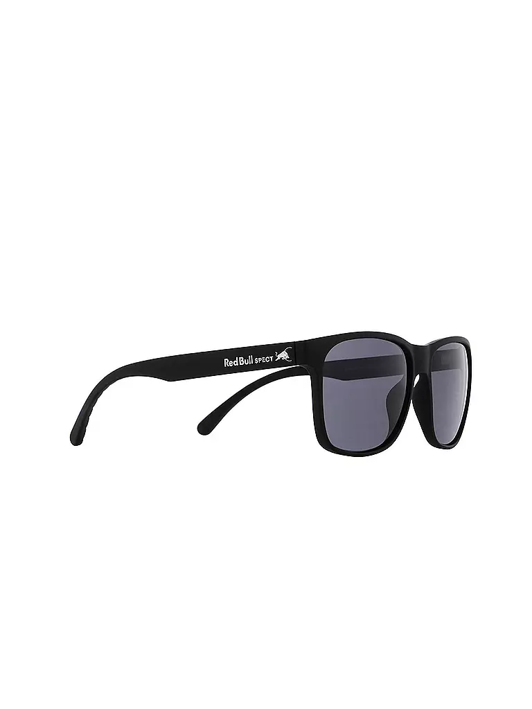 RED BULL SPECT | Gafas de sol Earle para hombre | Negro