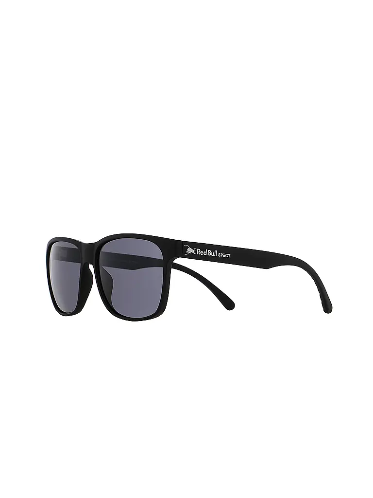 RED BULL SPECT | Gafas de sol Earle para hombre |