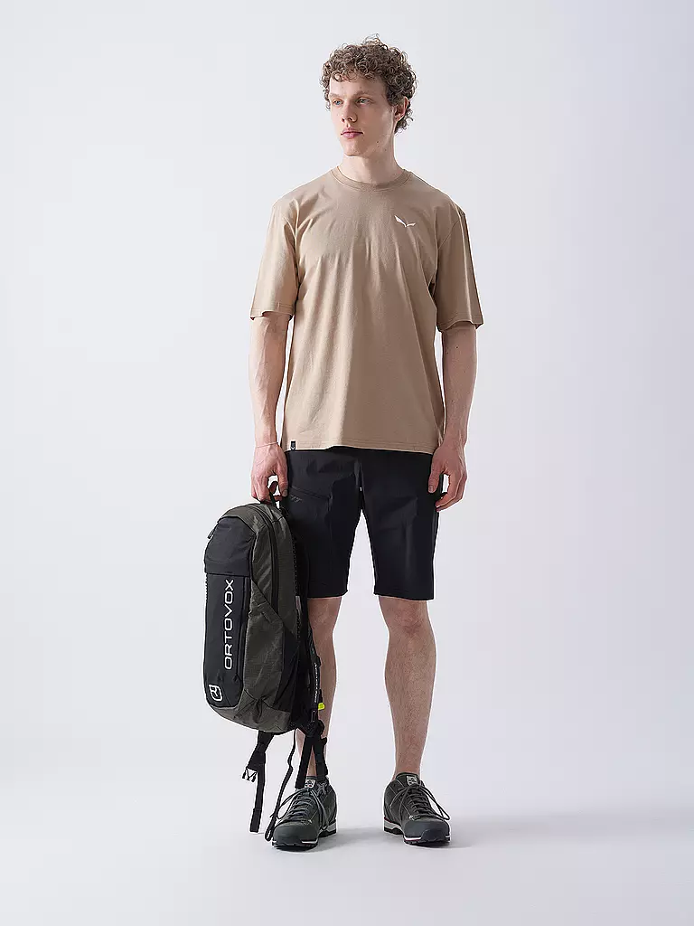 SALEWA | Camiseta funcional de hombre Eagle Sunset Loose | Beige