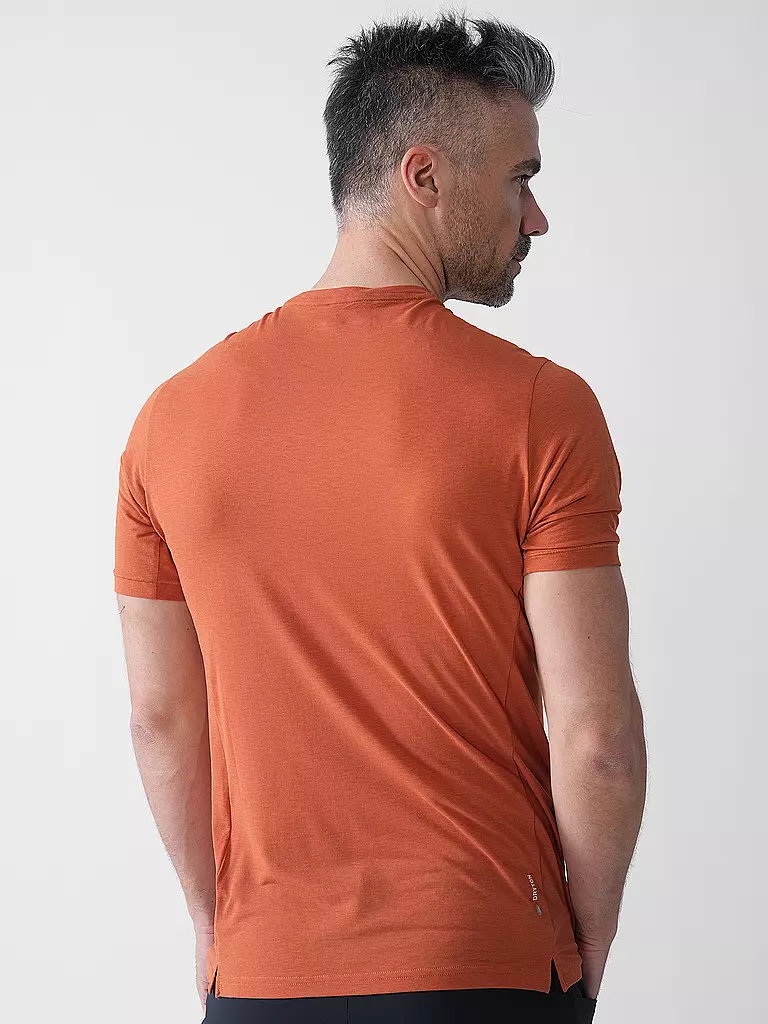 SALEWA | Camiseta funcional para hombre      Hombre     Capas base y camisetas     Camisetas Puez Melange Dry'Ton |