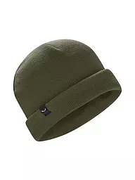 SALEWA | Gorro Puez Merino | Oliva