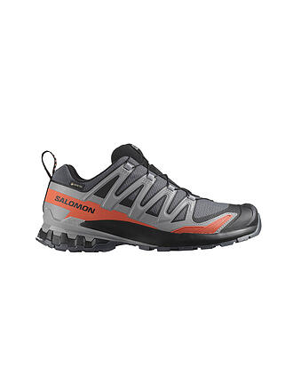 SALOMON | Zapatillas multifunción para hombre XA Pro 3D V9 GTX