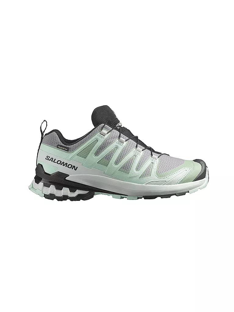 SALOMON | Damen Multifunktionsschuhe XA PRO 3D V9 GTX | Menta
