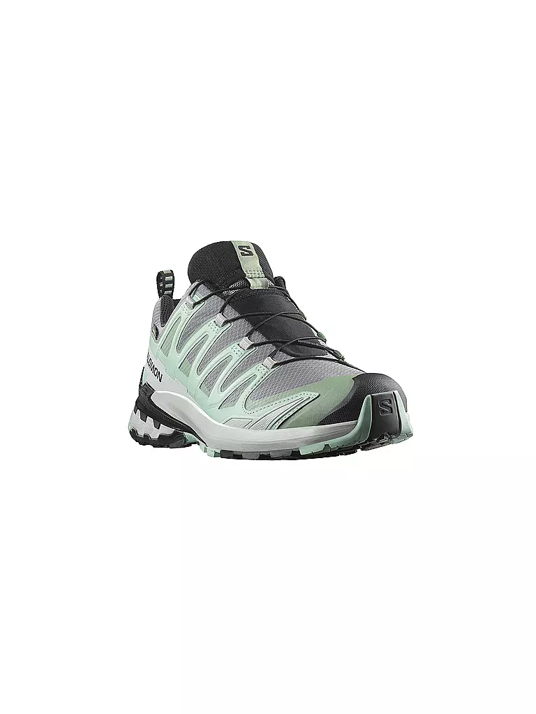 SALOMON | Damen Multifunktionsschuhe XA PRO 3D V9 GTX | Menta