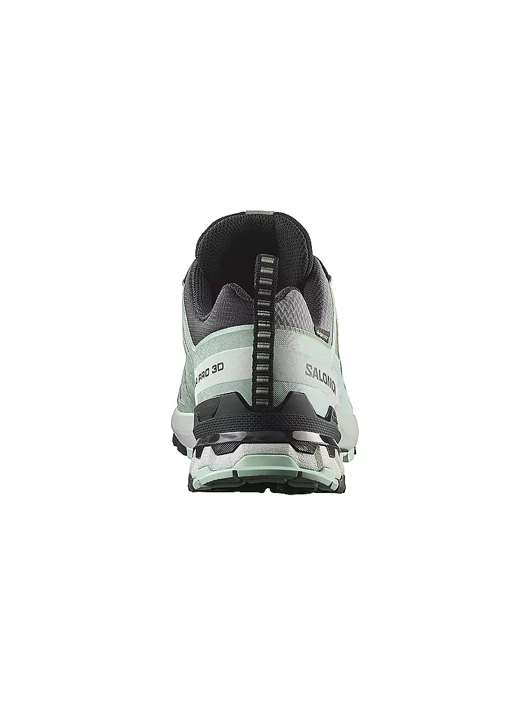 SALOMON | Damen Multifunktionsschuhe XA PRO 3D V9 GTX | Menta