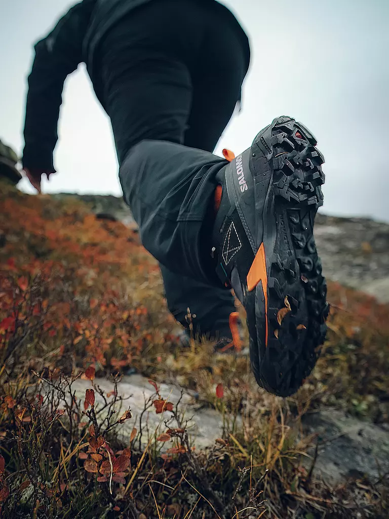 SALOMON | Zapatillas de senderismo para hombre X Ultra Alpine GTX |