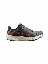 SALOMON | Zapatillas de trail running para hombre Thundercross GTX | Gris