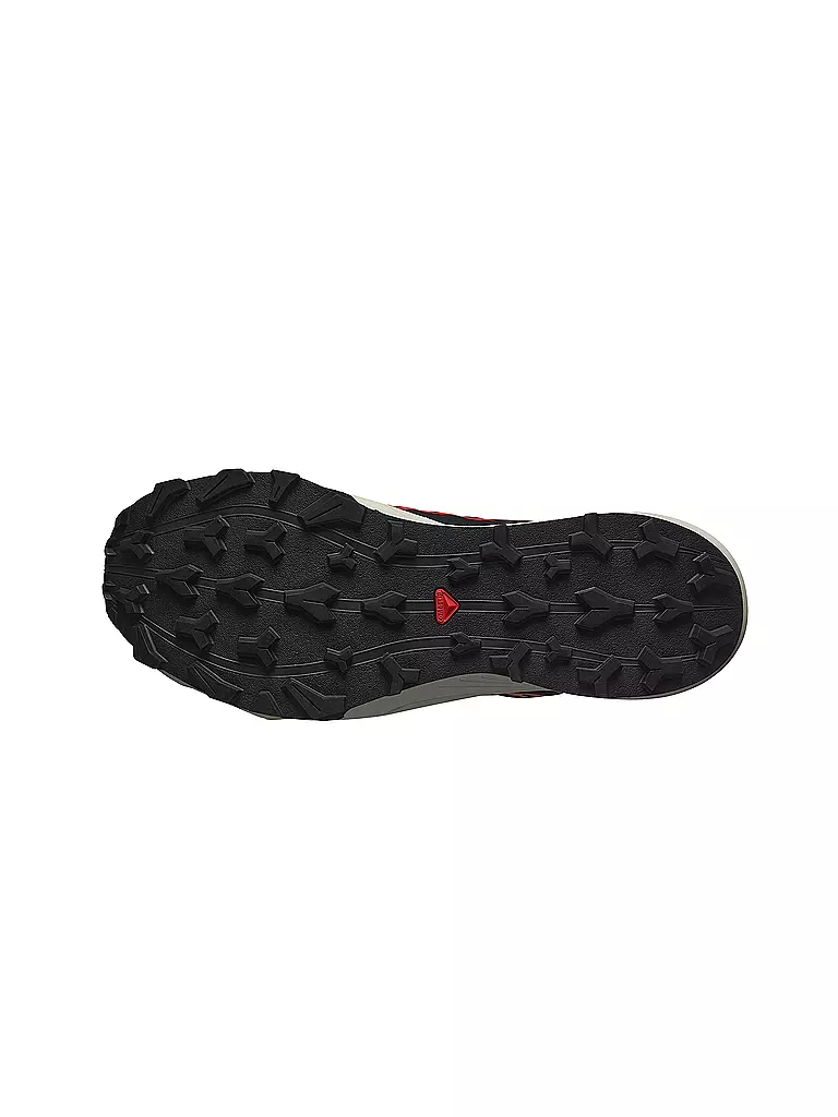 SALOMON | Zapatillas de trail running para hombre Thundercross GTX | Gris
