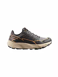 SALOMON | Damen Traillaufschuhe Thundercross GTX W | Gris