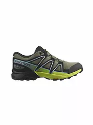SALOMON | Zapatillas de trail running para mujer XA PRO 3D V9 GTX | Oliva