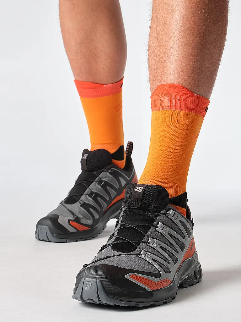 SALOMON | Zapatillas multifunción para hombre XA Pro 3D V9 GTX | Gris