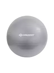 SCHILDKRÖT | Pelota de gimnasia 55cm | Plata