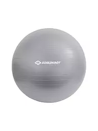 SCHILDKRÖT | Pelota de gimnasia 55cm | Plata