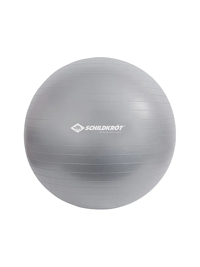 SCHILDKRÖT | Pelota de gimnasia 65cm | Plata