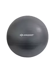 SCHILDKRÖT | Pelota de gimnasia 55cm | Gris