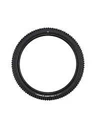 SCHWALBE | Neumático de bicicleta Albert Pro Radial 63-622 Trail Soft | Negro