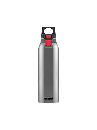 SIGG | Termo Hot & Cold ONE Light Brushed 550ml