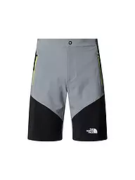THE NORTH FACE | Herren Short Felik Slim Tapered | Gris