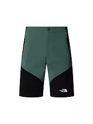 THE NORTH FACE | Herren Short Felik Slim Tapered | Petróleo