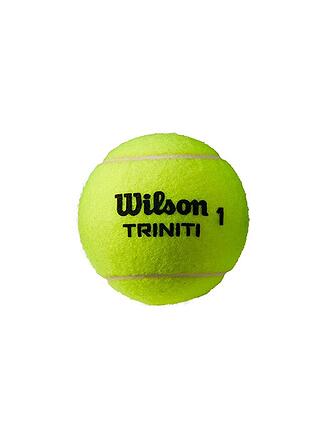 WILSON | Pelotas de tenis Triniti, caja de 3